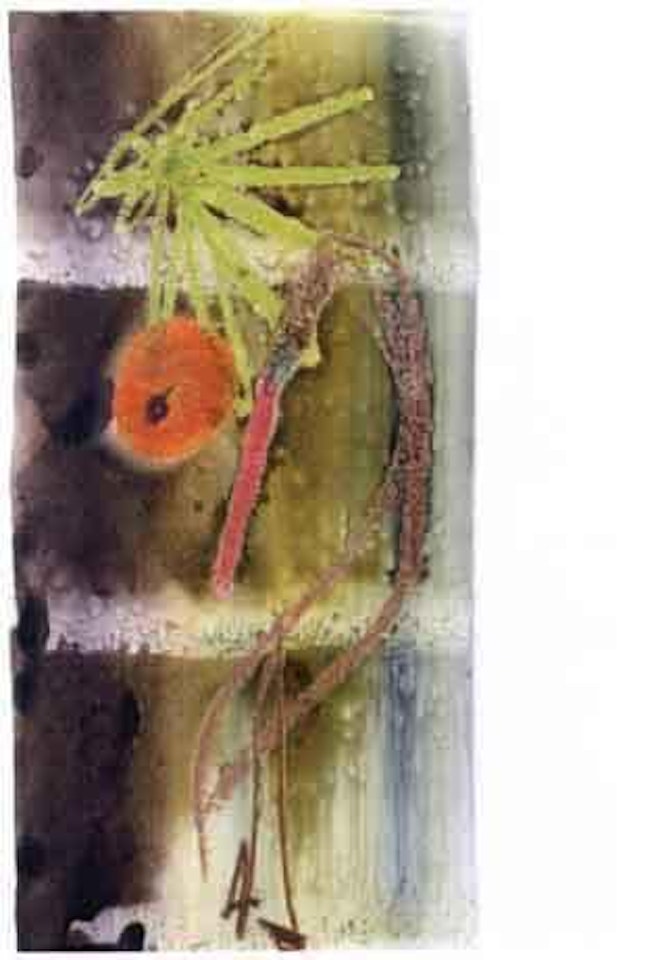 Bird and flower by Sidney Nolan