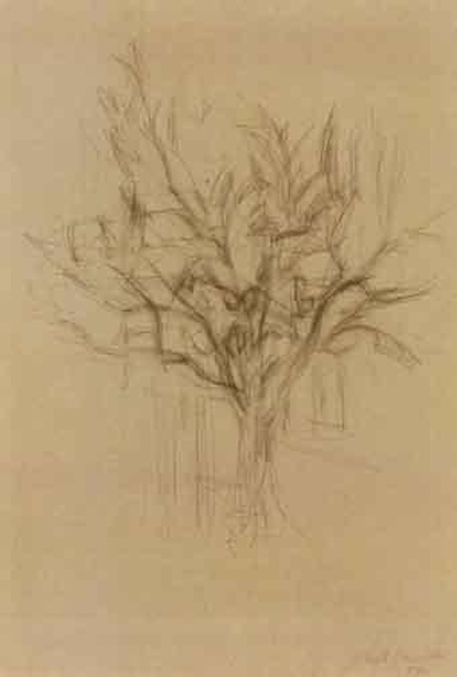 Arbre. Etude de figures by Alberto Giacometti