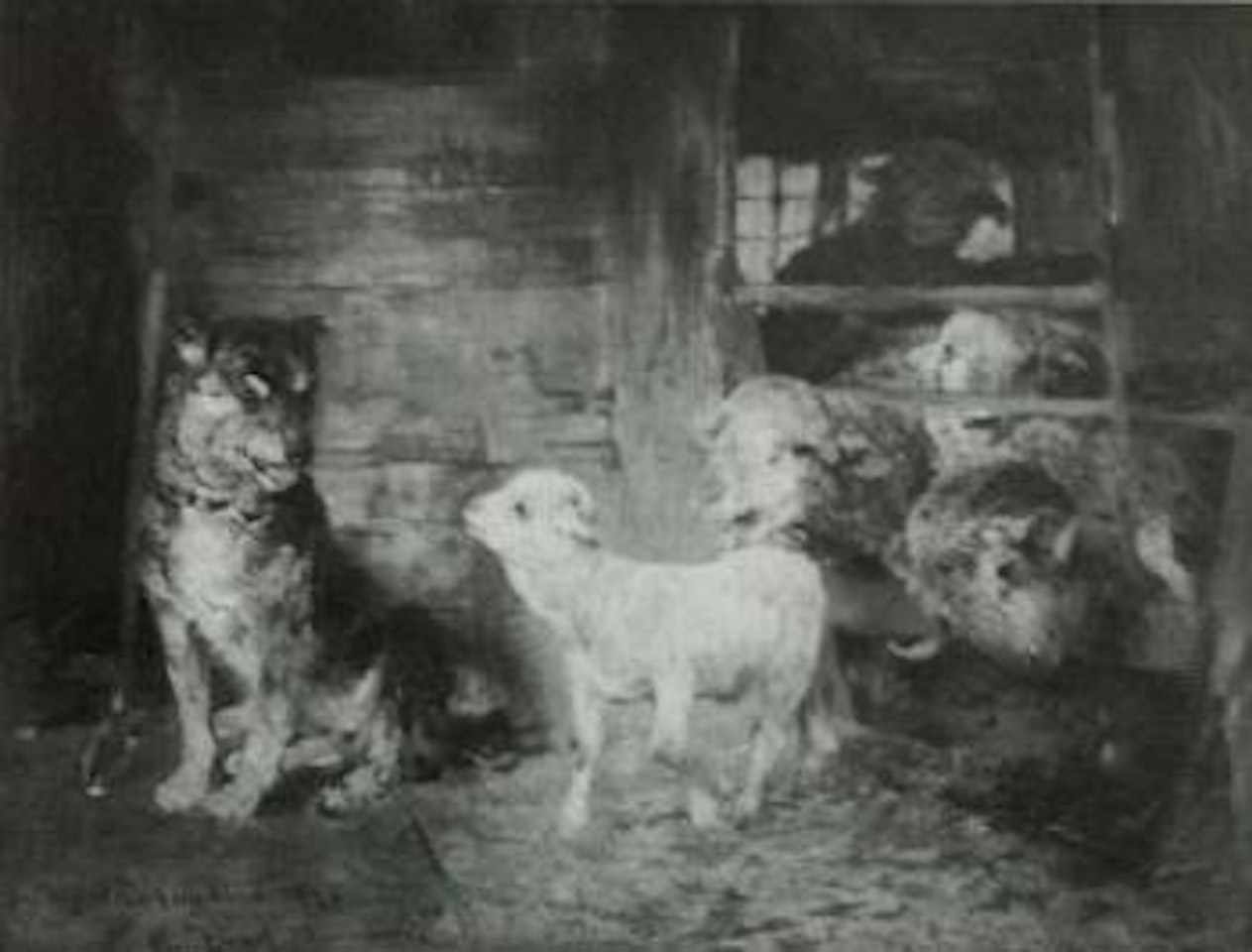 Dog watching sheep and lambs for his master by Heinrich von Zugel
