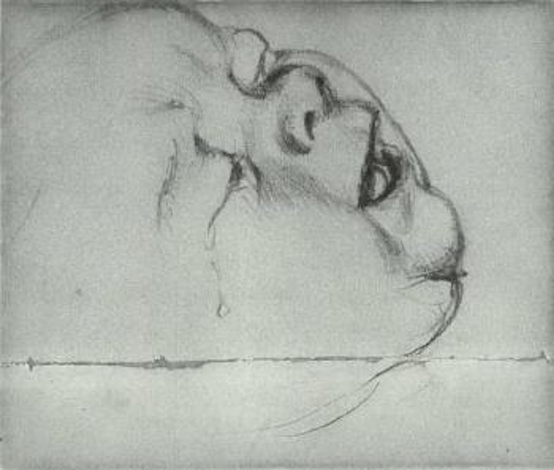 Head of crying newborn by Adolph Menzel