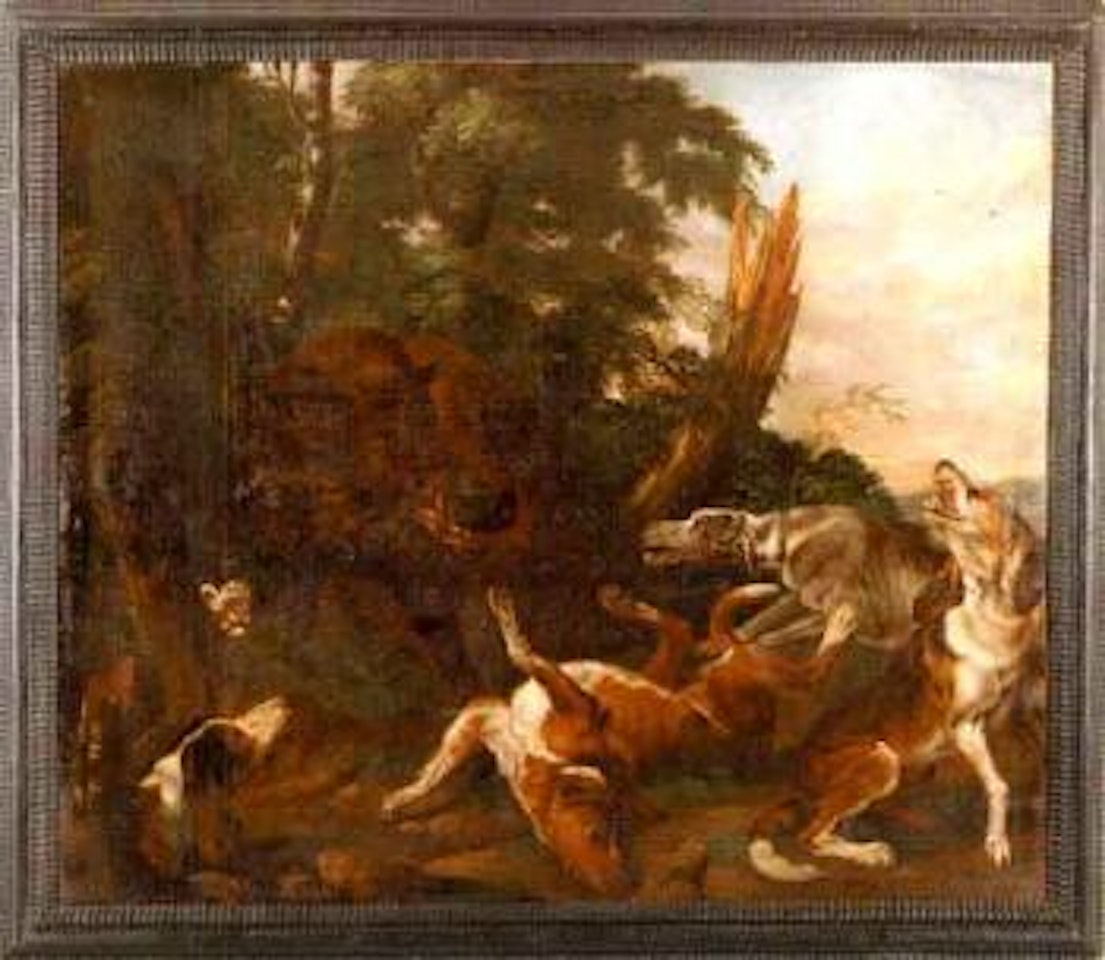 Dog pack attacking wild boar in wood by Paul de Vos