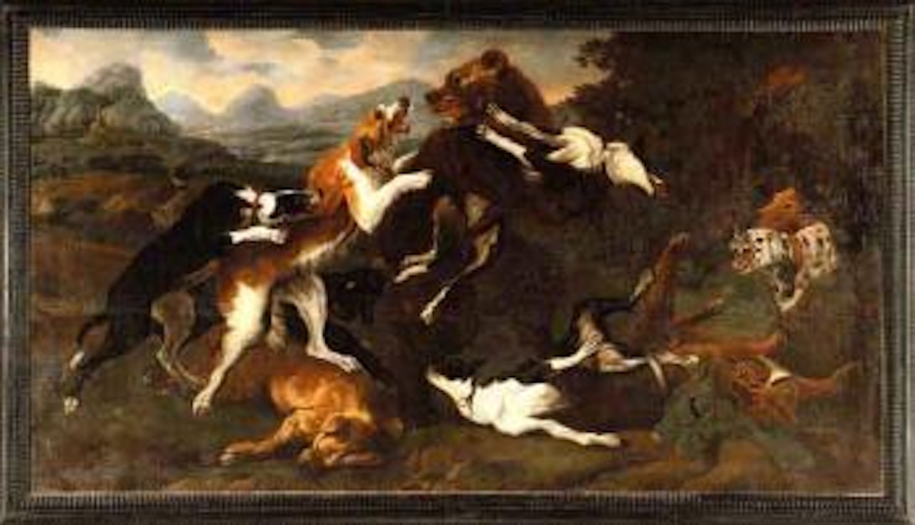 Dog pack attacking bear by Paul de Vos
