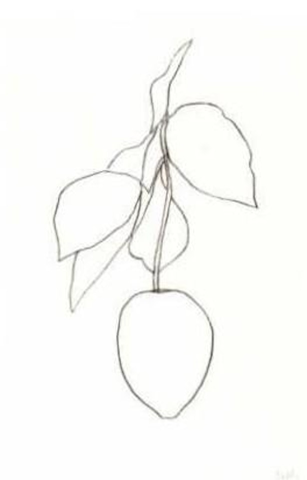 Lemon by Ellsworth Kelly