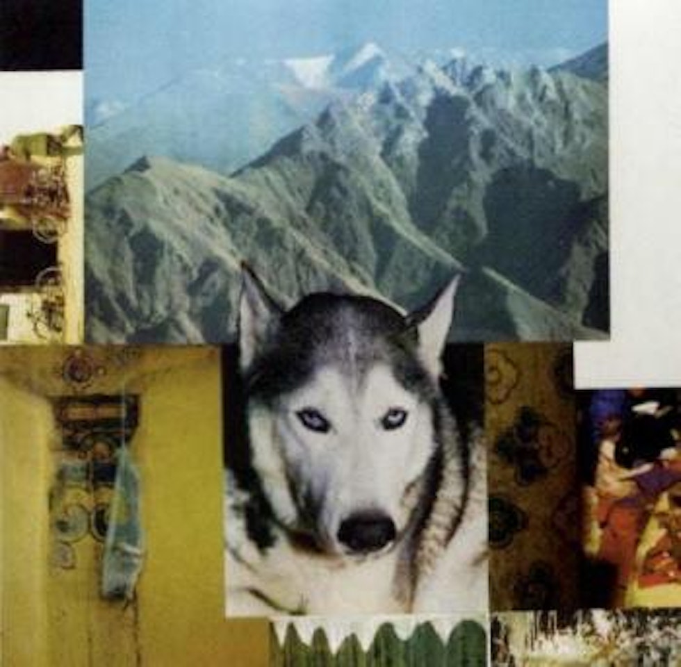 Tibetan locks, mountaineer by Robert Rauschenberg