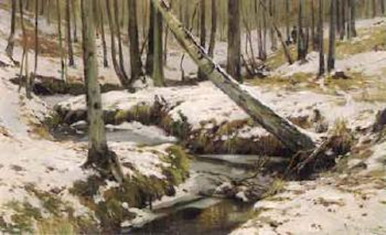 Running steam in winter forest by Walter Moras