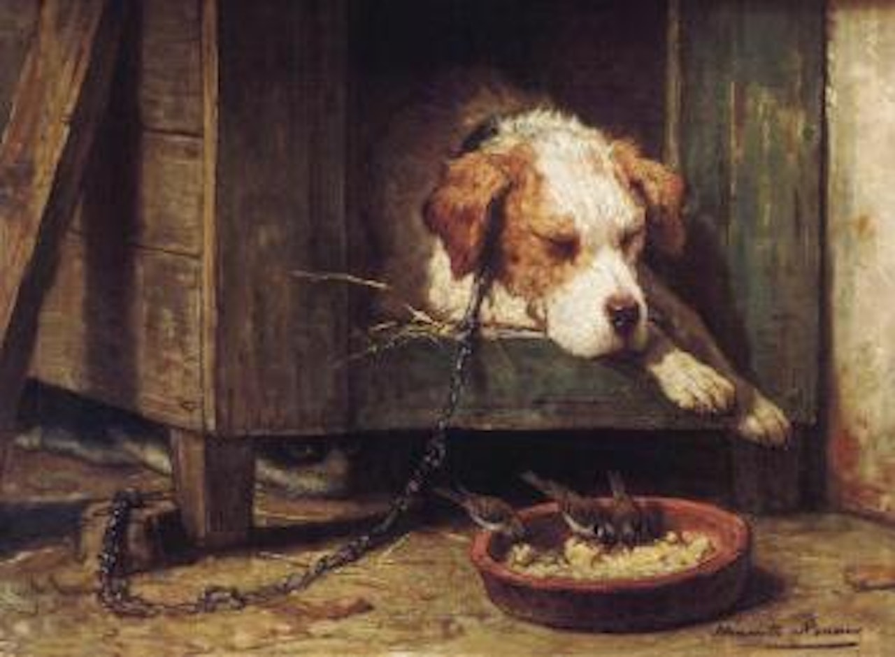 Parasites by Henriette Ronner-Knip