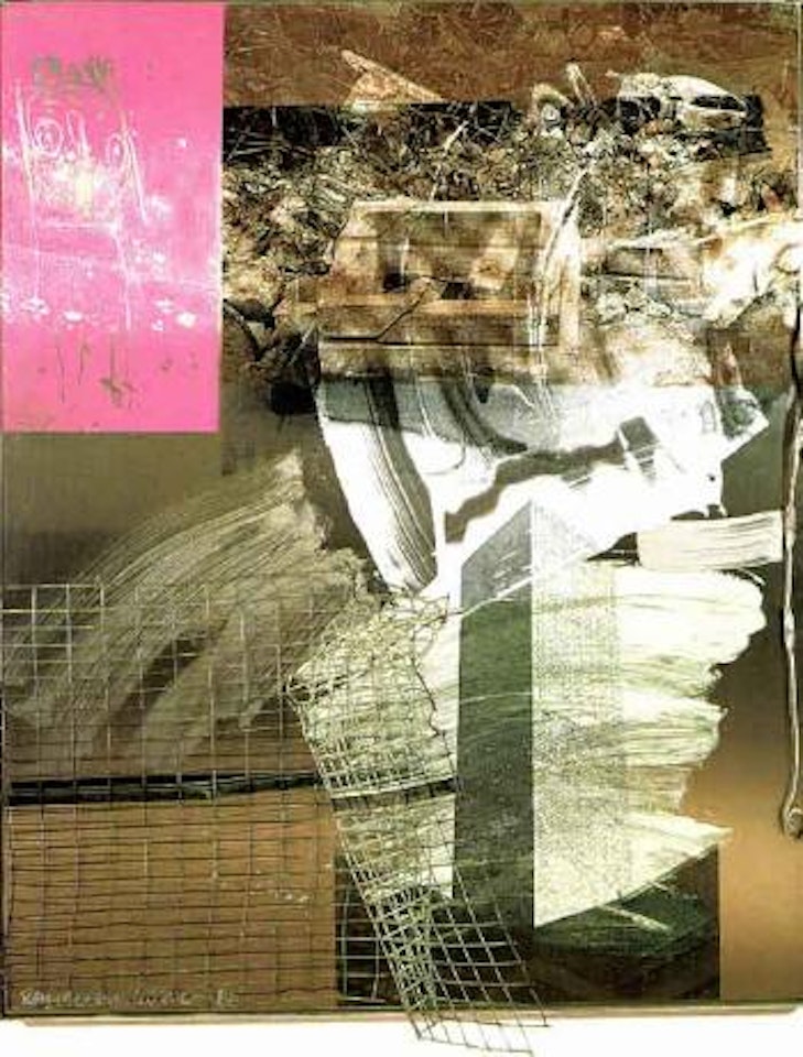 Territorial rites - shiner by Robert Rauschenberg