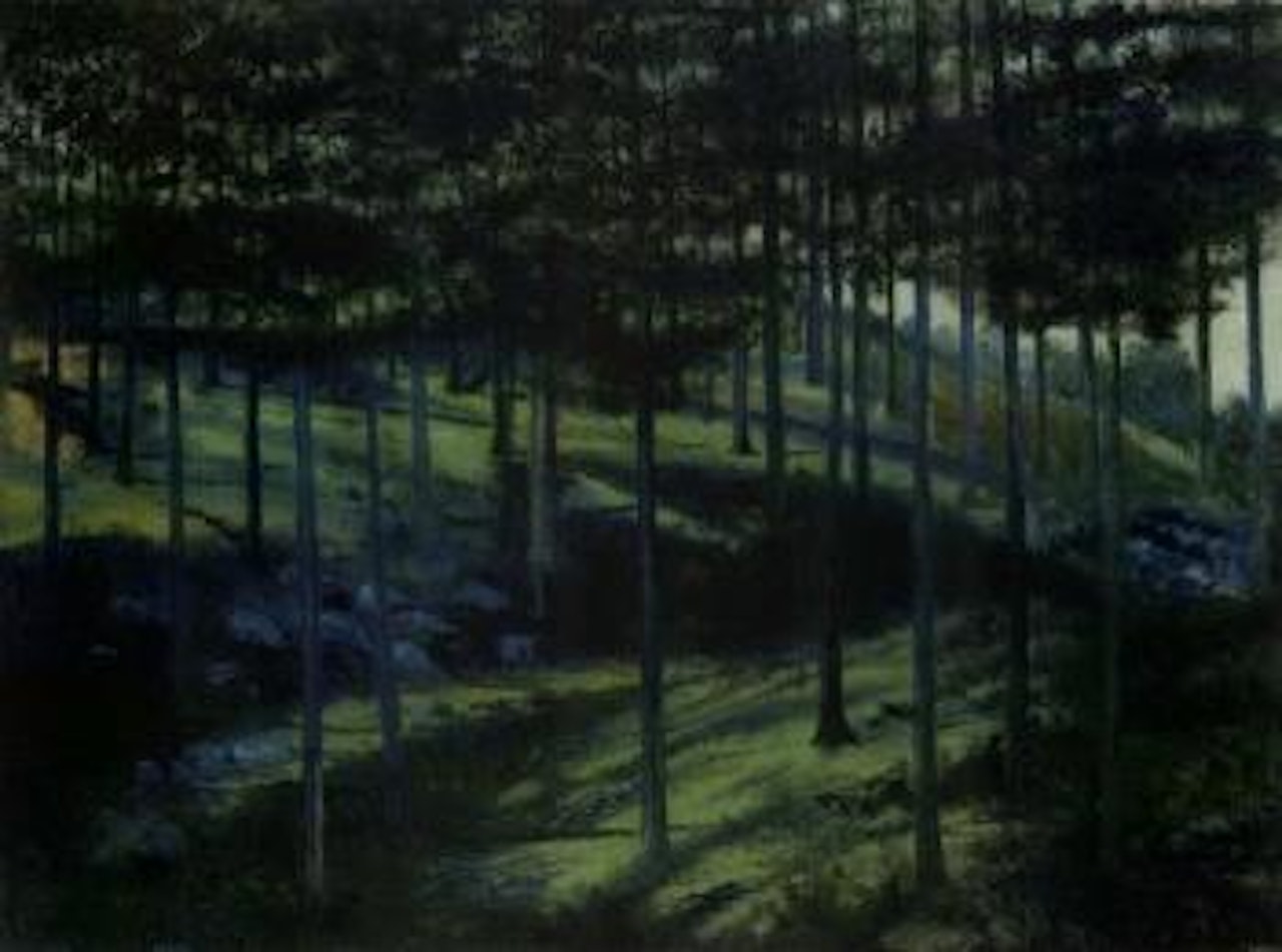 Paisaje de noche by Joaquín Clausell