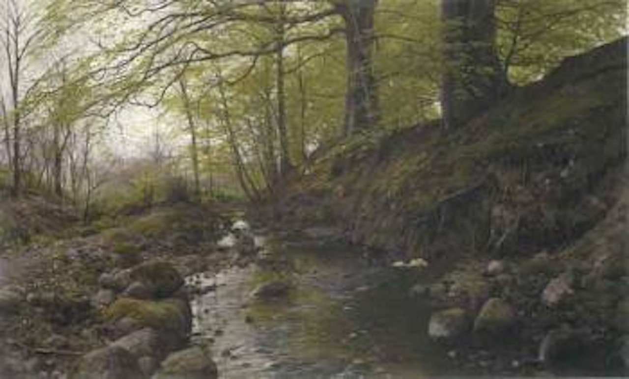 Vandlob i skoven - stream in the woods by Peder Mork Monsted