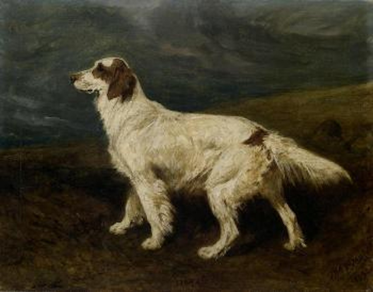 Dora, an English setter in a landscape by John Emms