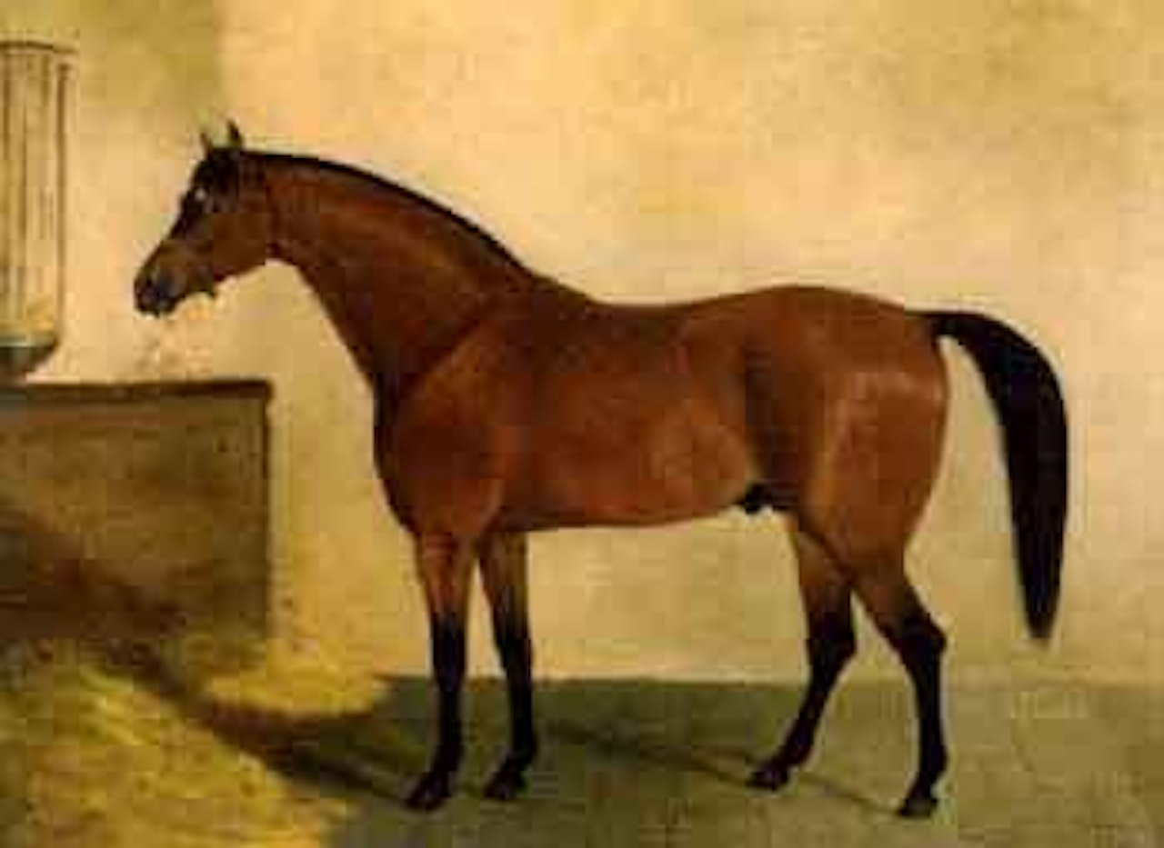 Chestnut hunter in a stable by Sir Thomas Lawrence