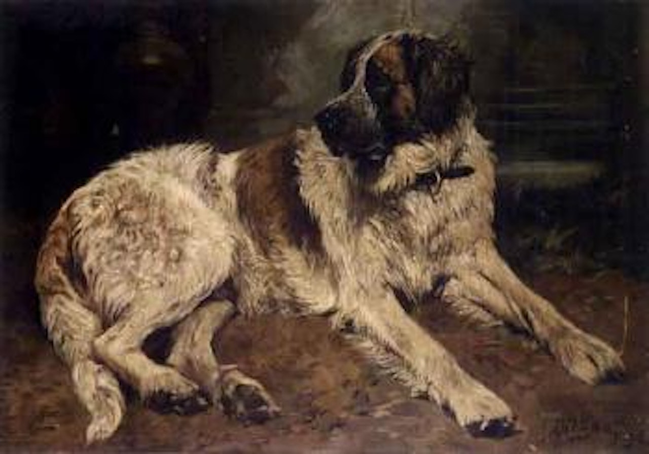 Saint Bernard by John Emms