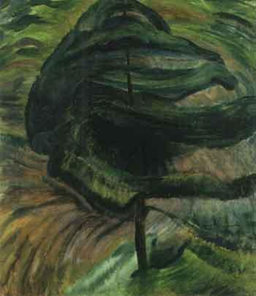 Young pine in a breeze by Emily M Carr