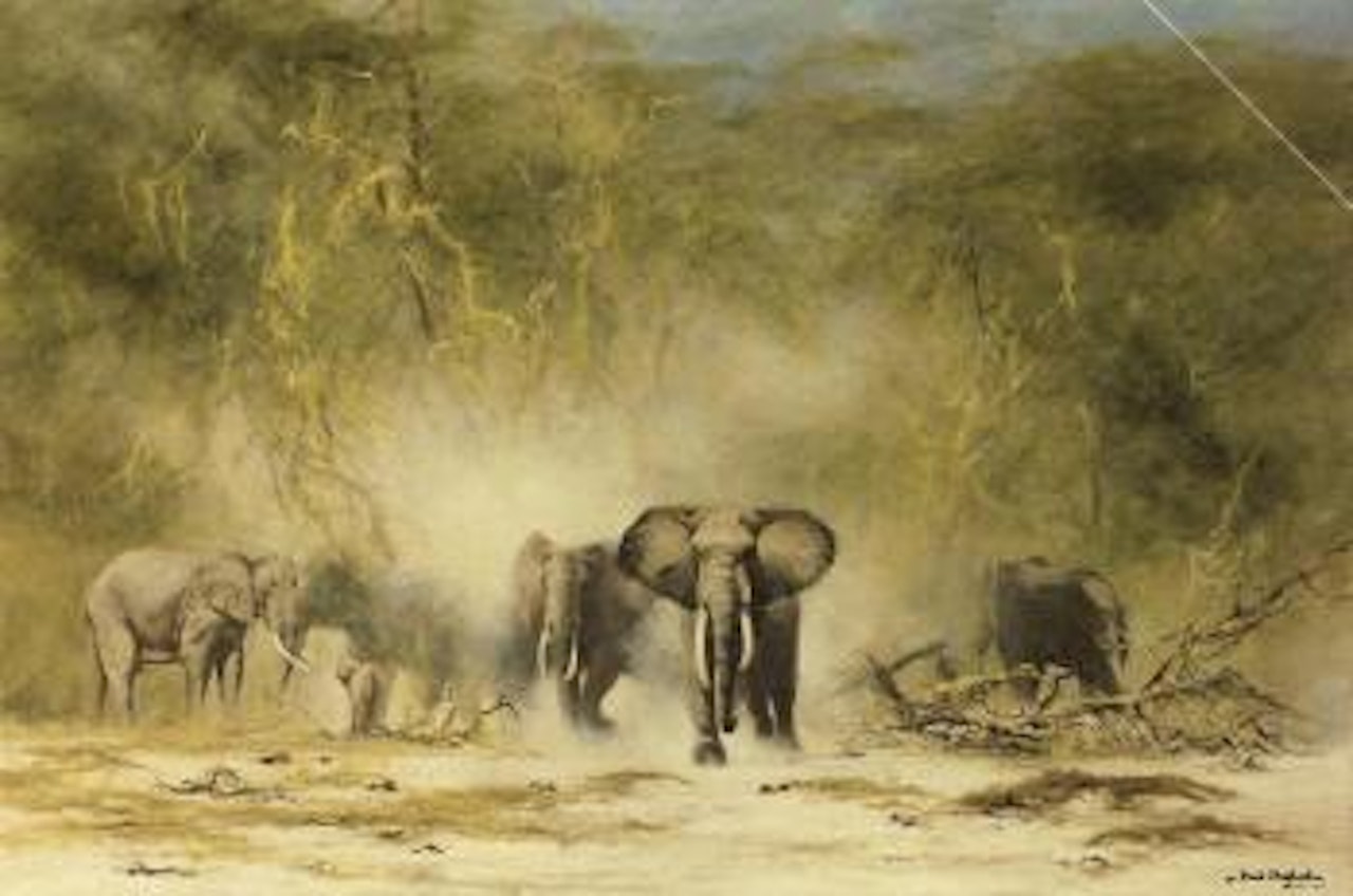 Elephants, Amboseli by David Shepherd