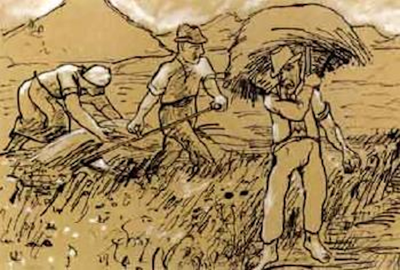 Peasants reaping by Max Pechstein
