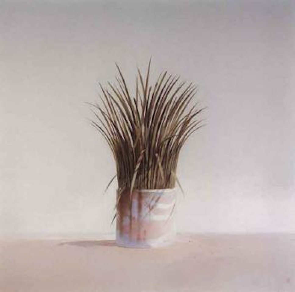 Colonial garden by Tim Storrier