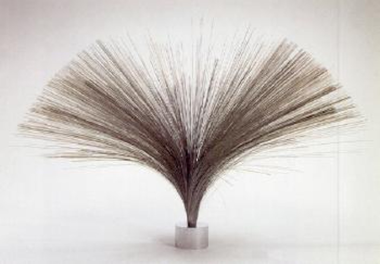 Spray by Harry Bertoia