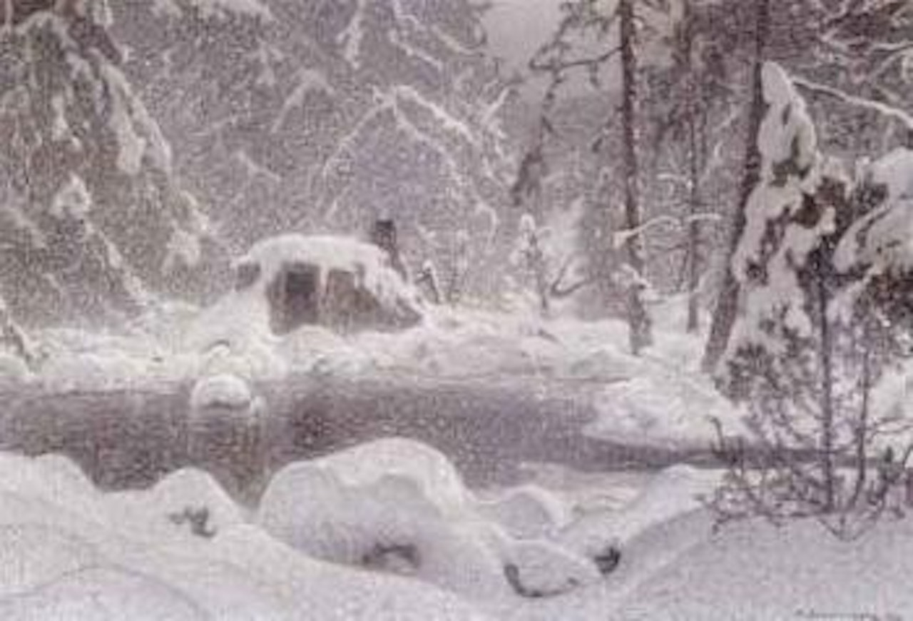 December in Kol Forest by Anshelm Schultzberg