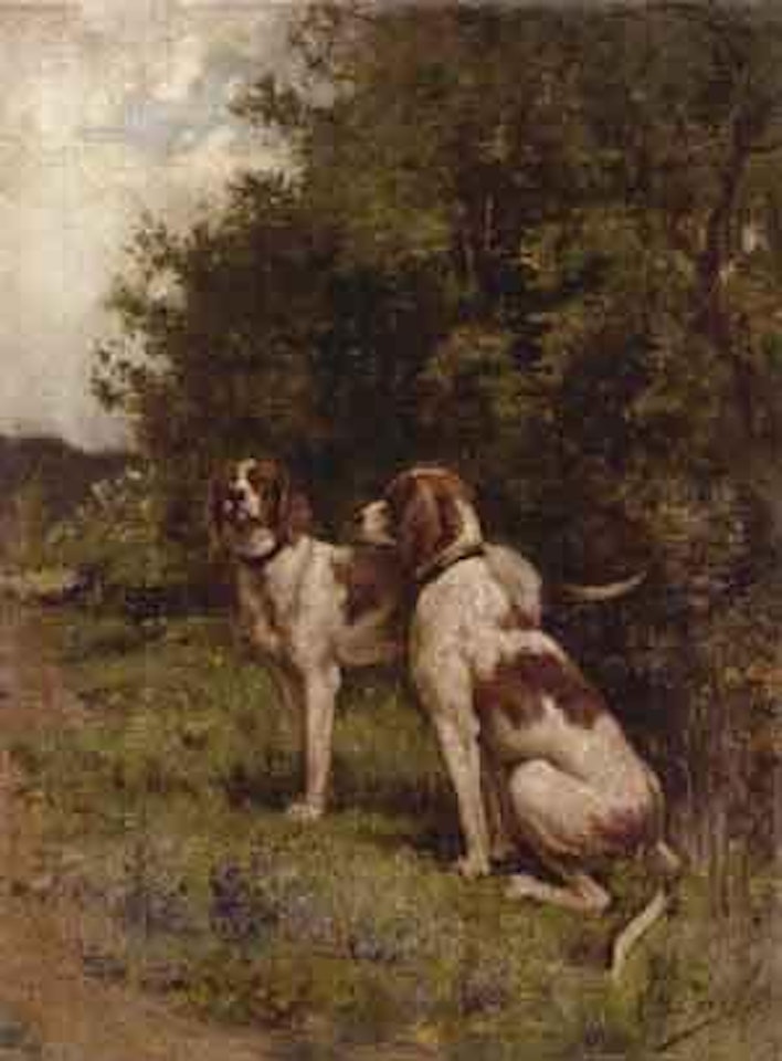 Gundogs by Olivier de Penne