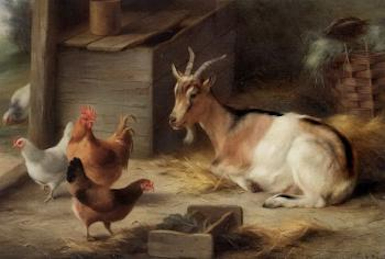 Goat and chickens inside a barn by Edgar Hunt