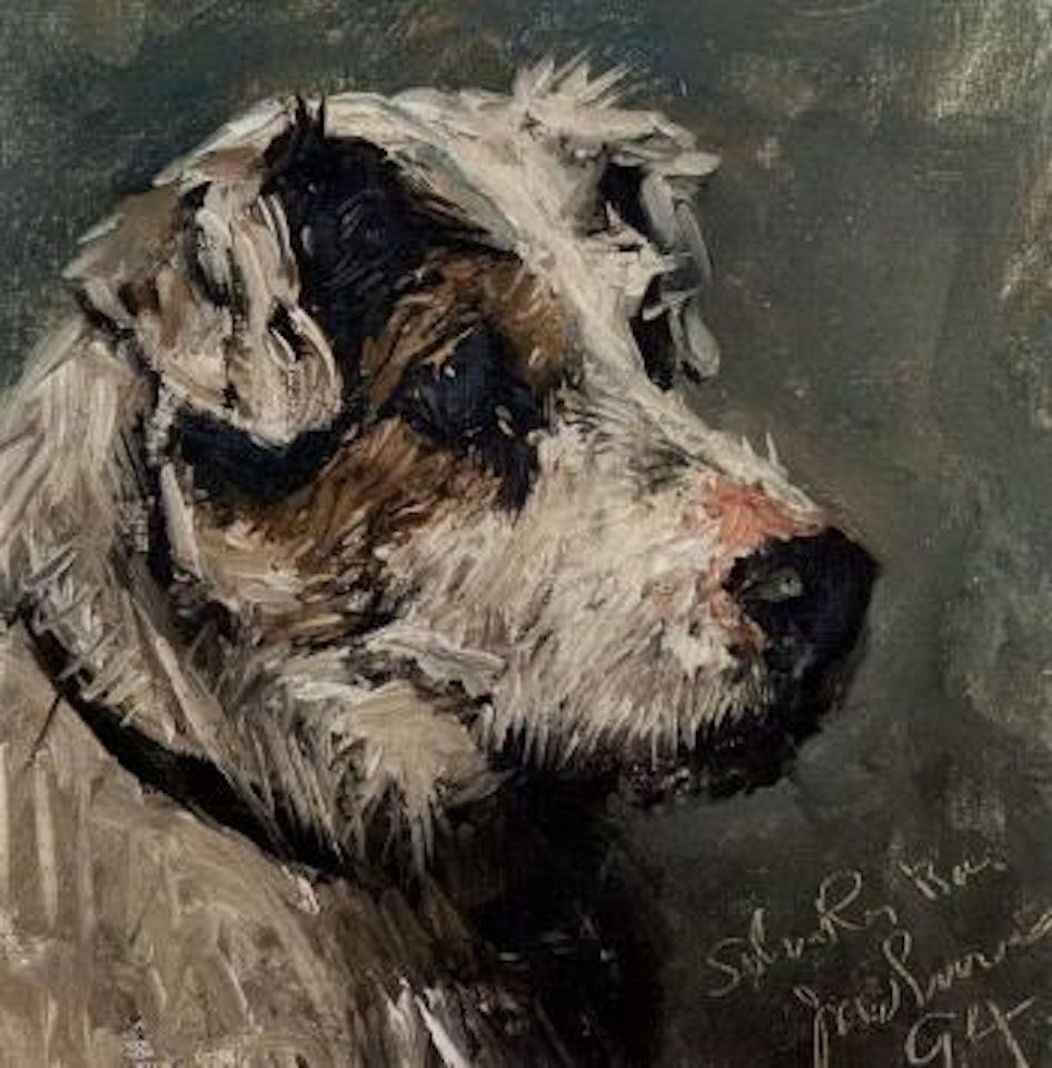 Head study of a terrier by John Emms