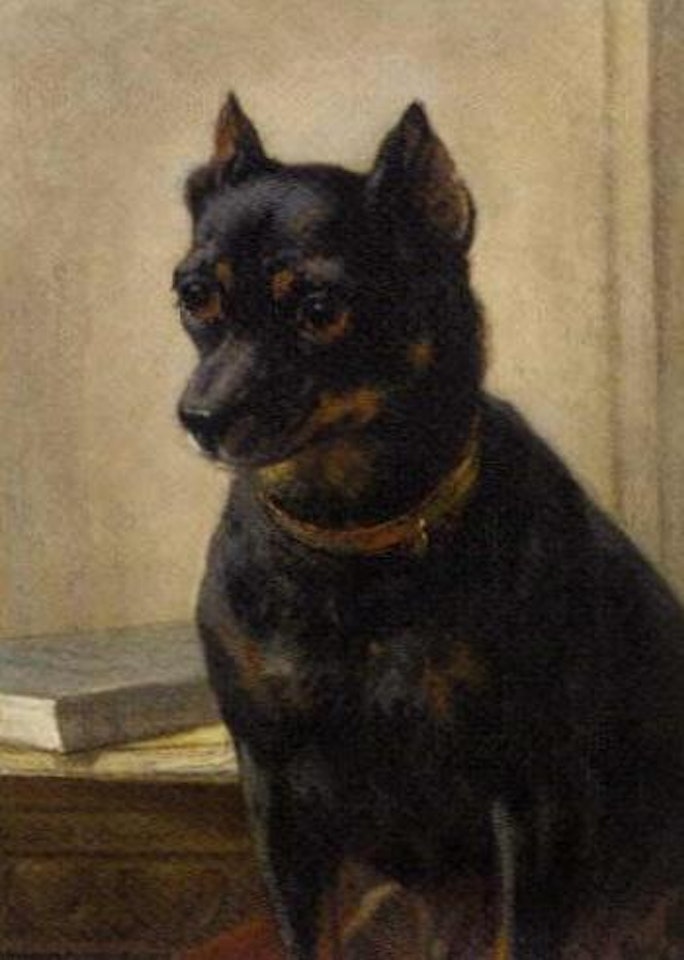 An attentive look by Henriette Ronner-Knip