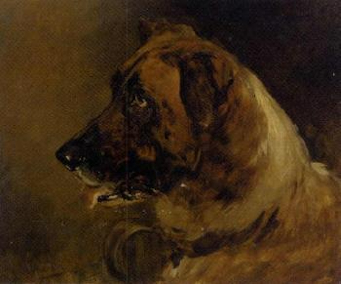 Head of a St. Bernard by Heywood Hardy
