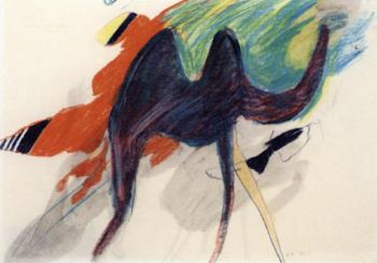 Drawing of a camel without a head by David Hockney