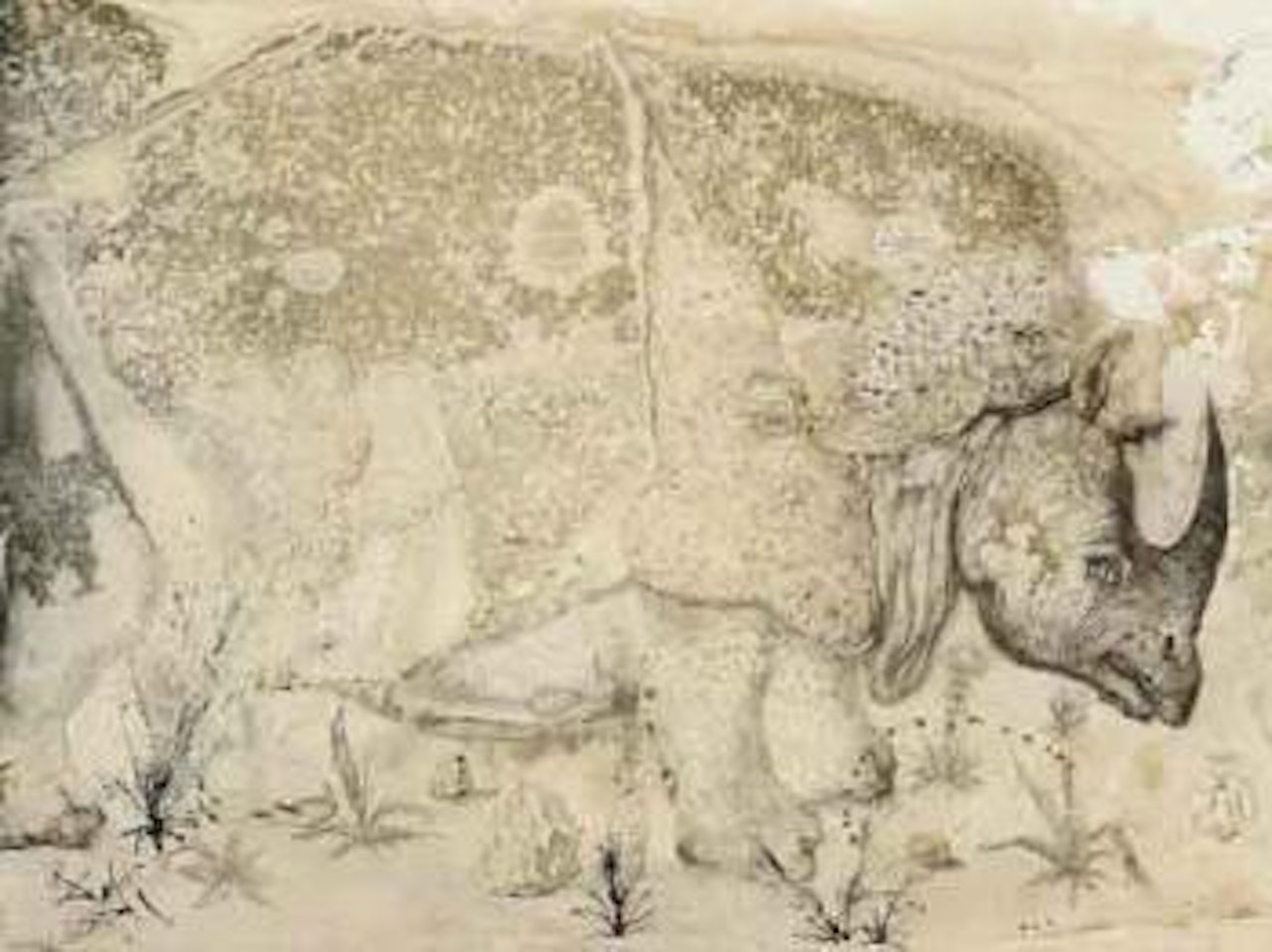 Le rhinoceros, hommage a Albrecht Durer by Salvador Dali