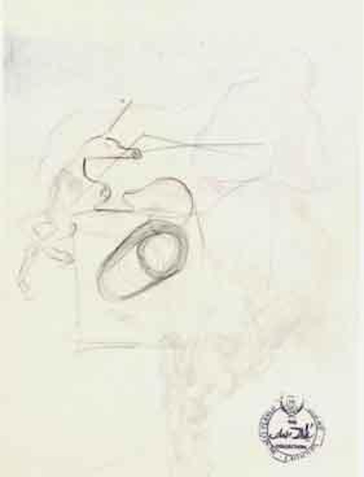 Etude pour "l'enigme sans fin" by Salvador Dali