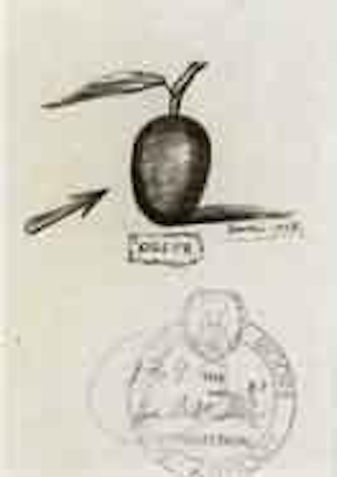 Olive pour le livre "les 50 secrets magiques" by Salvador Dali