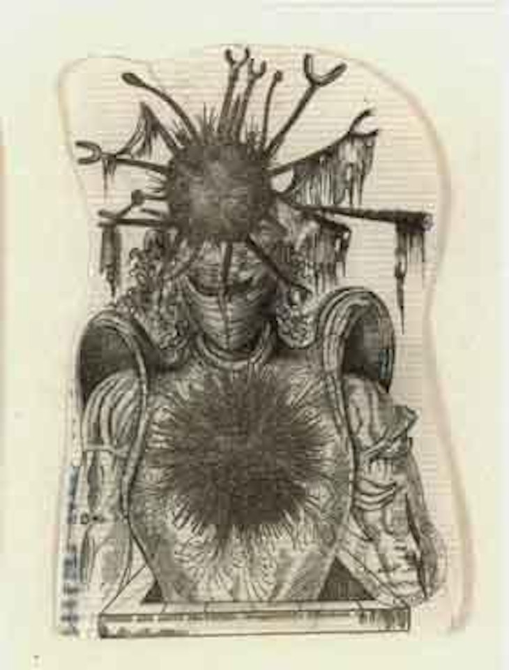 Young and adult sea-urchin by Salvador Dali