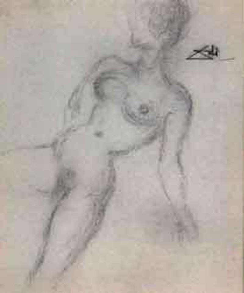 Etude de nu by Salvador Dali
