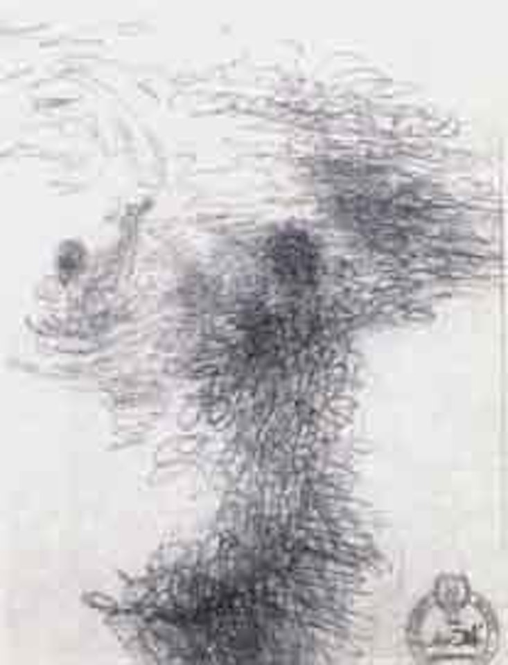 L'ange etude pour le galacidalacidesoxyribonucleicacid by Salvador Dali