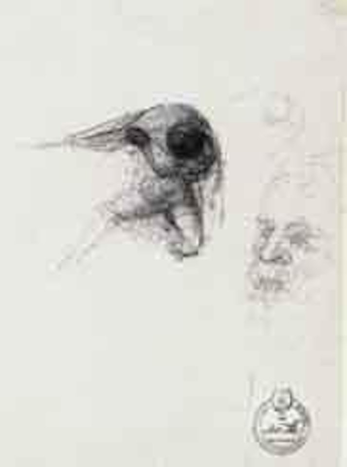 Galacidalacidesoxyribonucleicacid by Salvador Dali