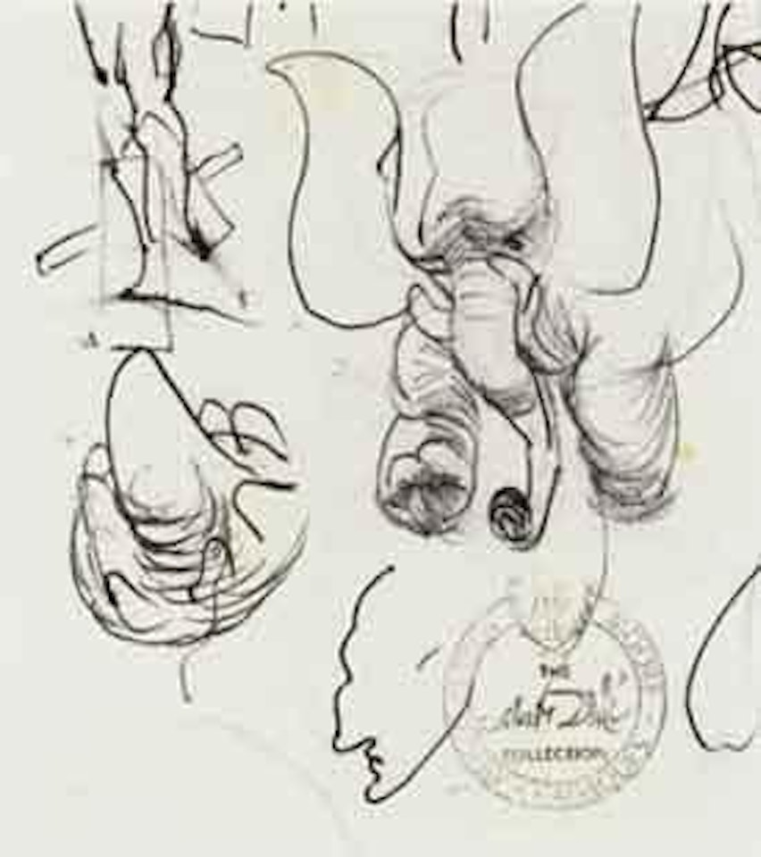 Etude de Cygne-Elephant by Salvador Dali