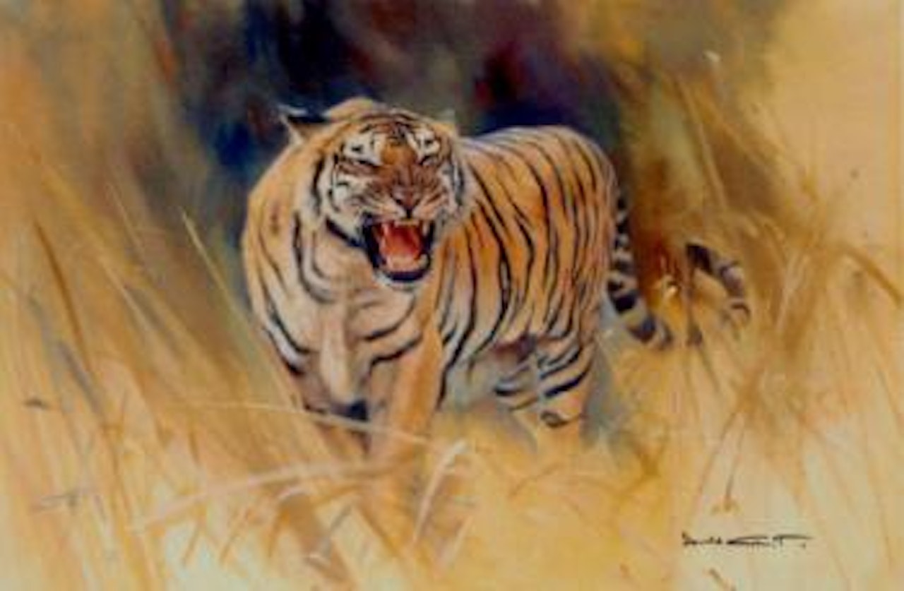 Tiger growling by Donald Grant