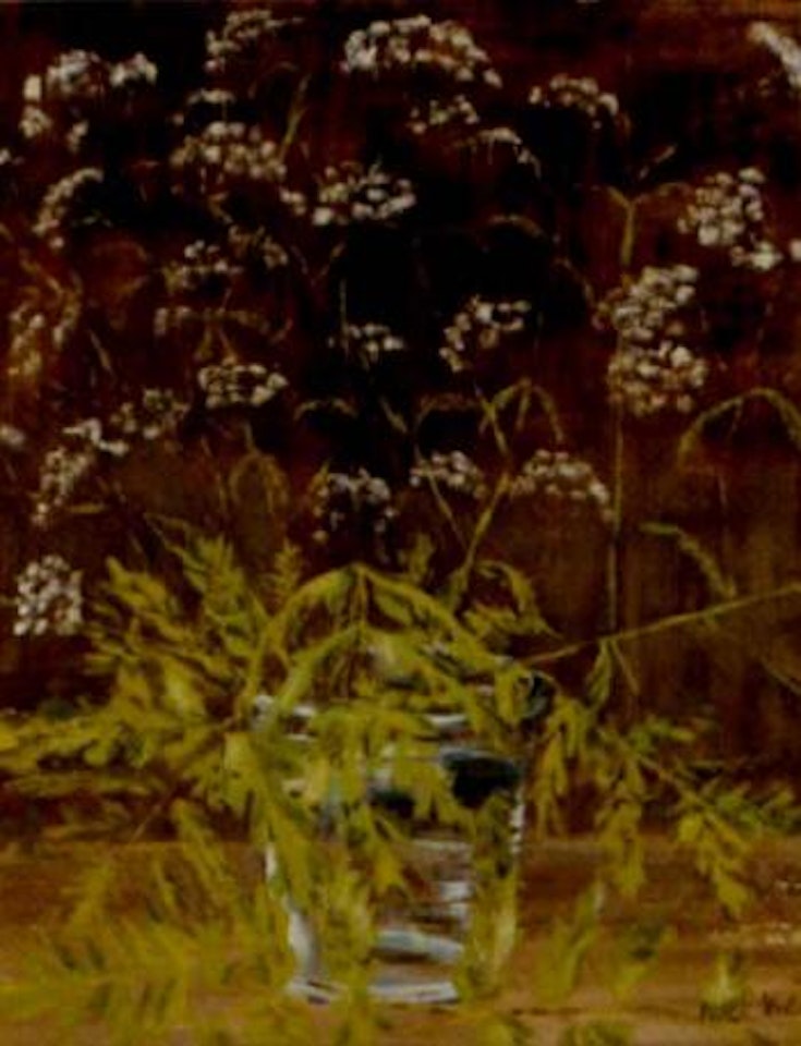 Cow parsley by Noel Coward