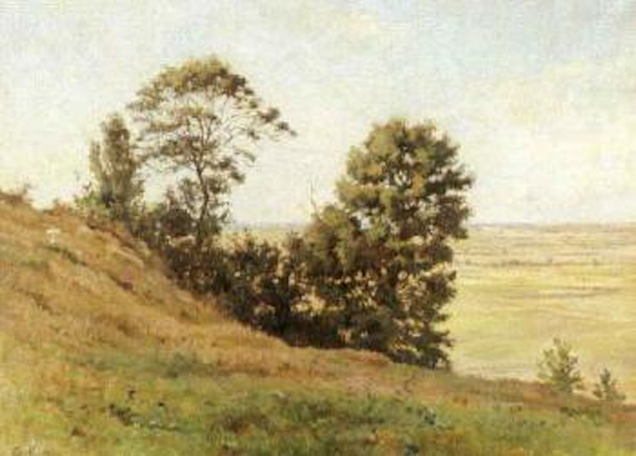 Sunlit coastal plain by Armand Guillaumin