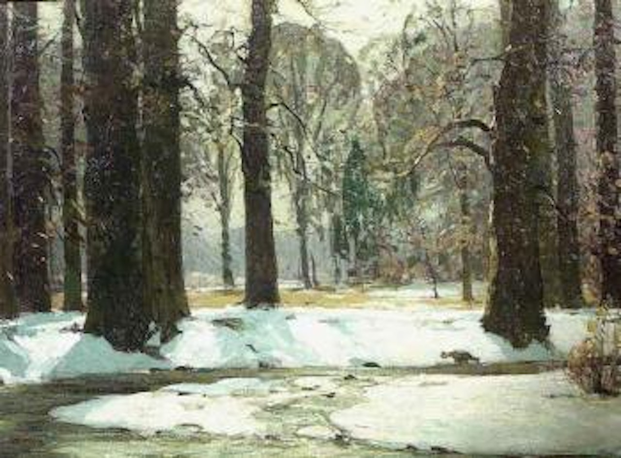 Morning on the stream by John Fabian Carlson