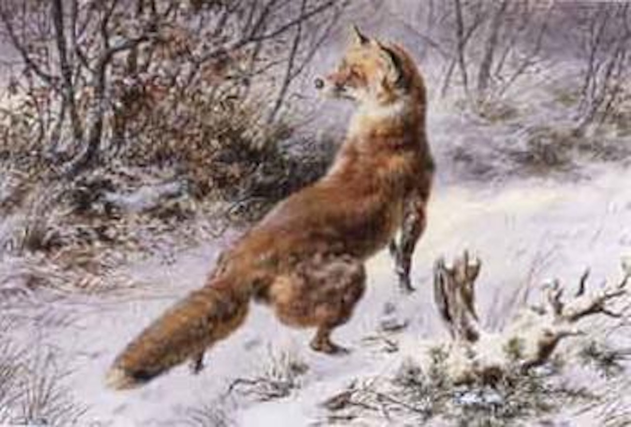 Fox in winter landscape by Sigwald Johannes Dahl