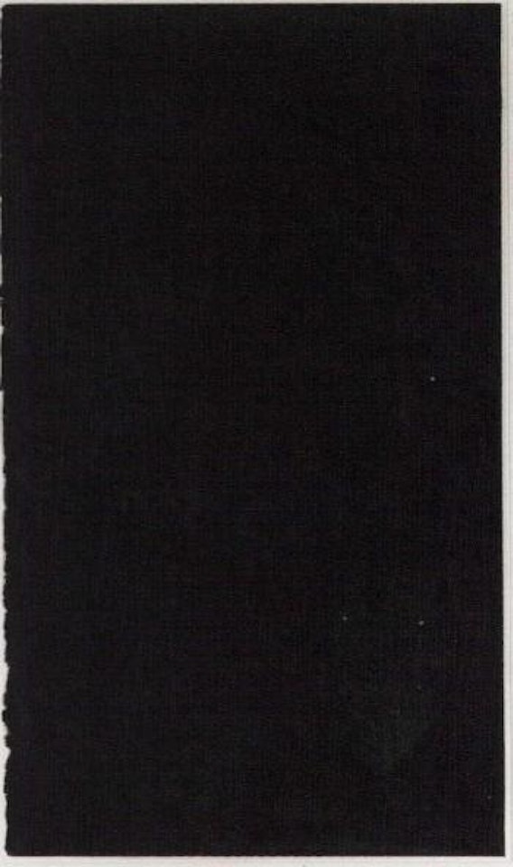 Vertical lines, not straight, not touching by Sol LeWitt