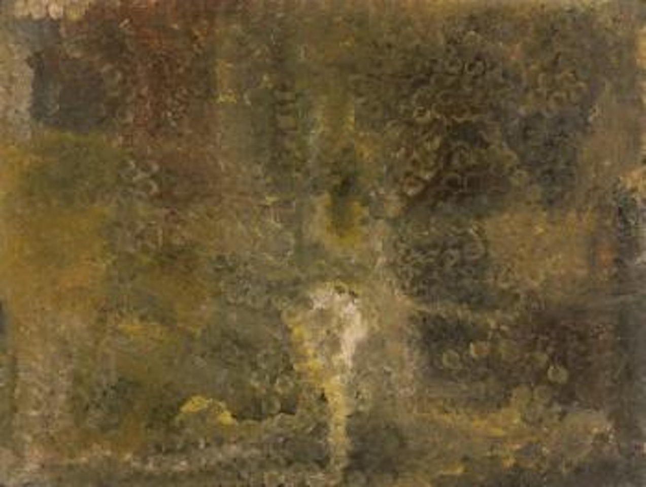 My country by Emily Kame Kngwarreye