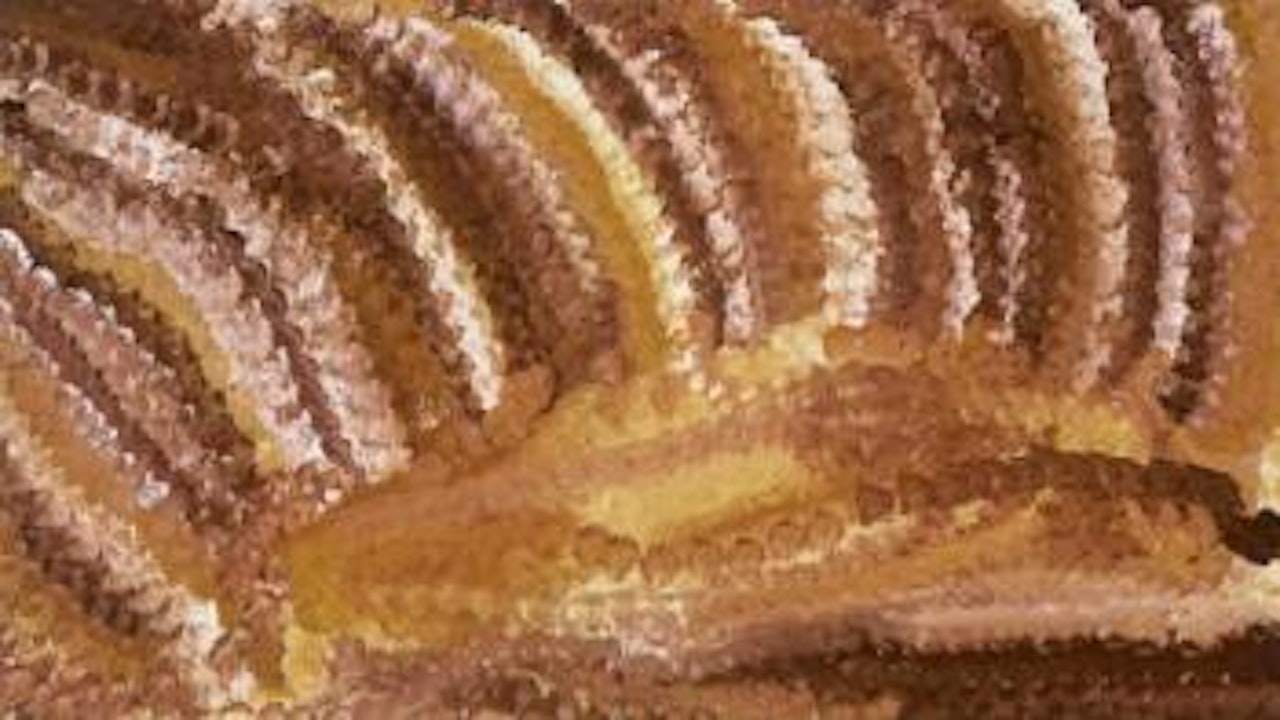 My mother's country by Emily Kame Kngwarreye