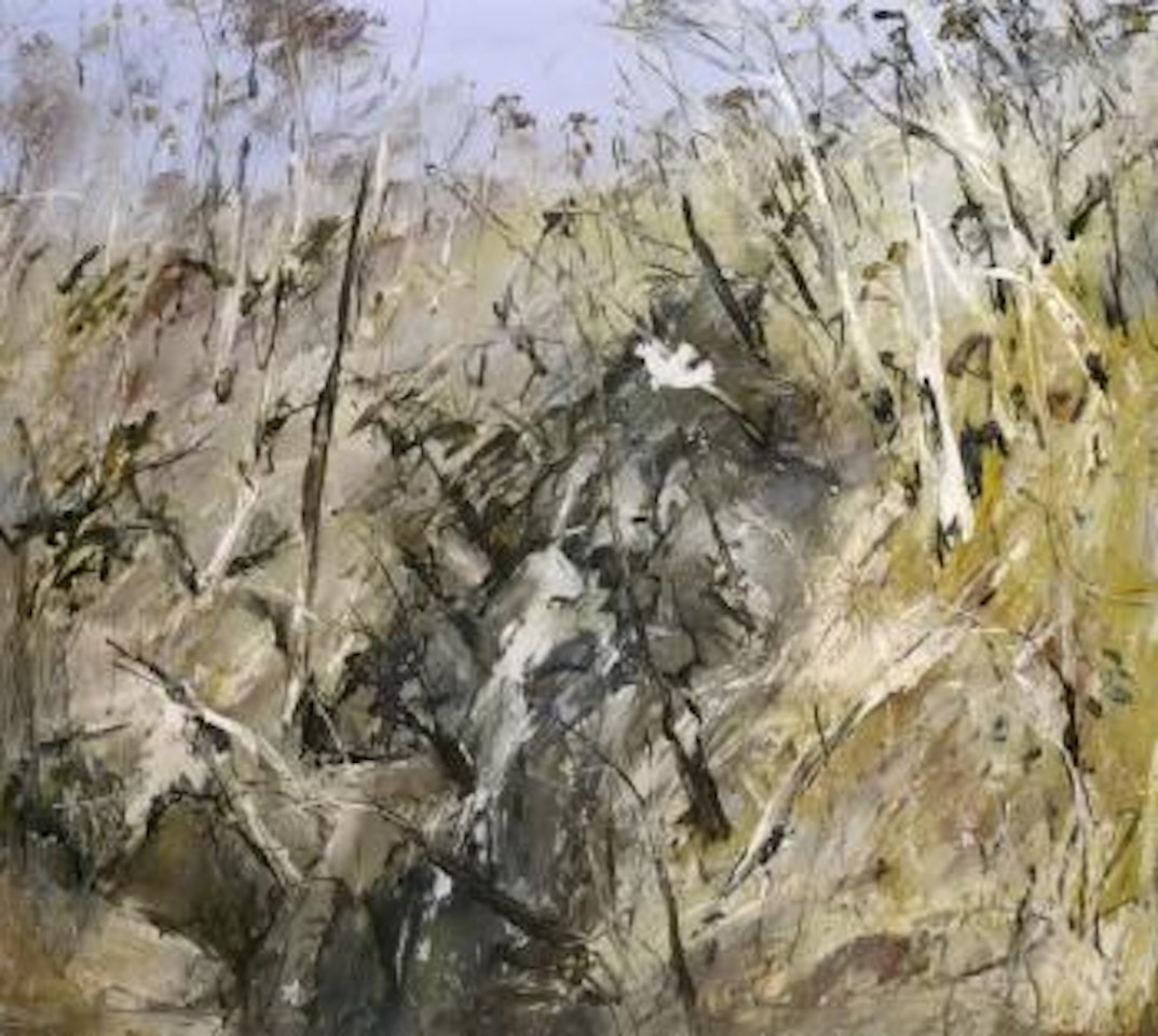 Cockatoo in the gully by Arthur Merric Bloomfield Boyd