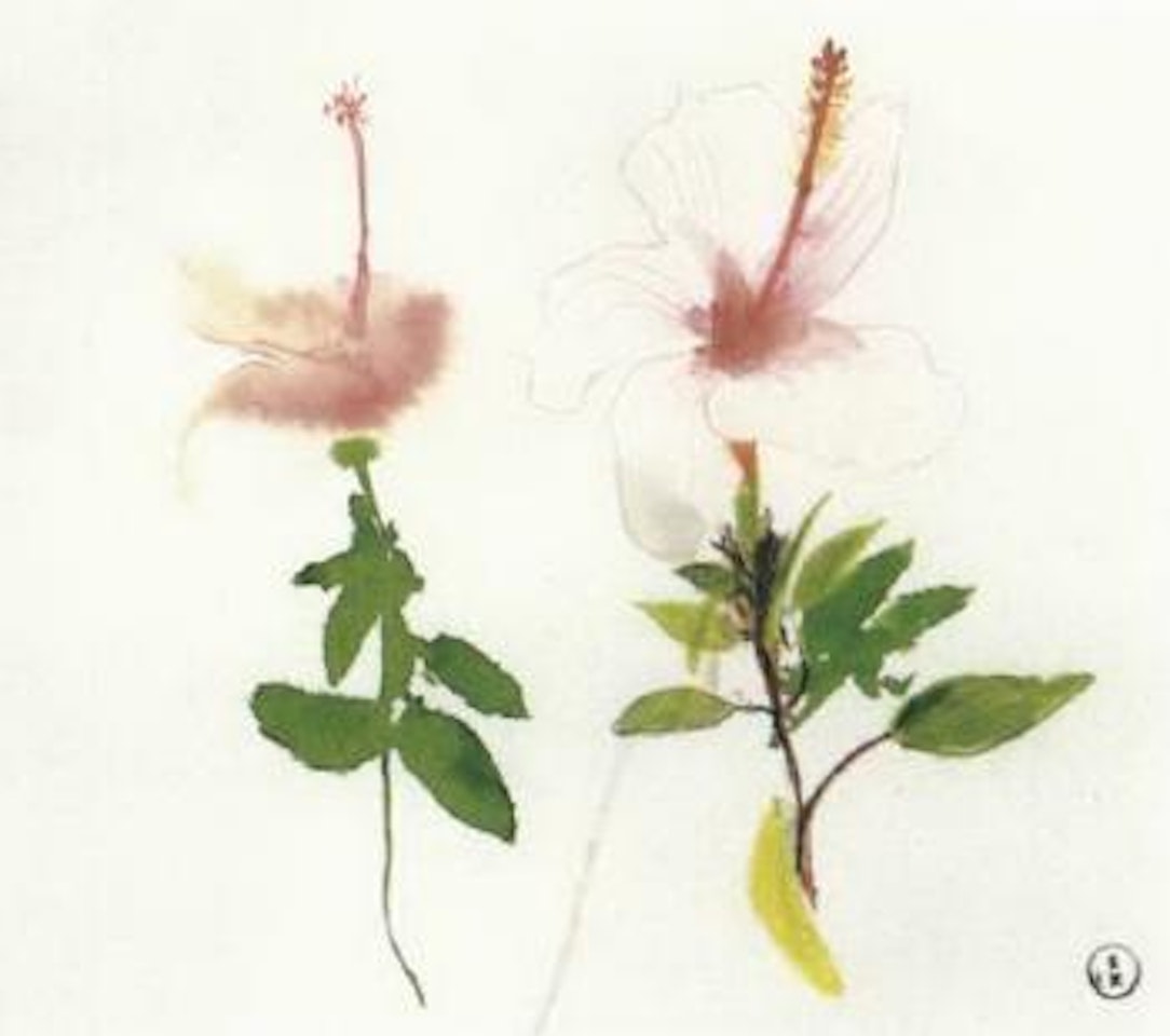 Hibiscus by Brett Whiteley