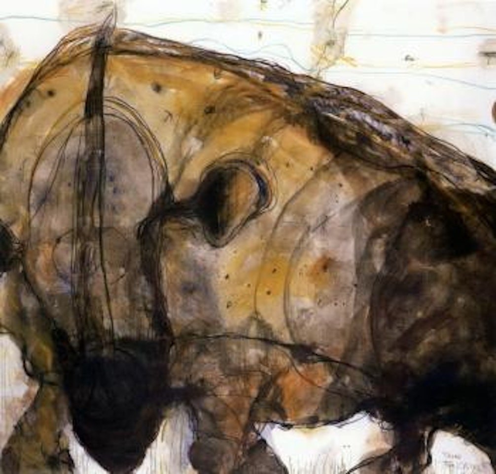 Rhino by John Olsen