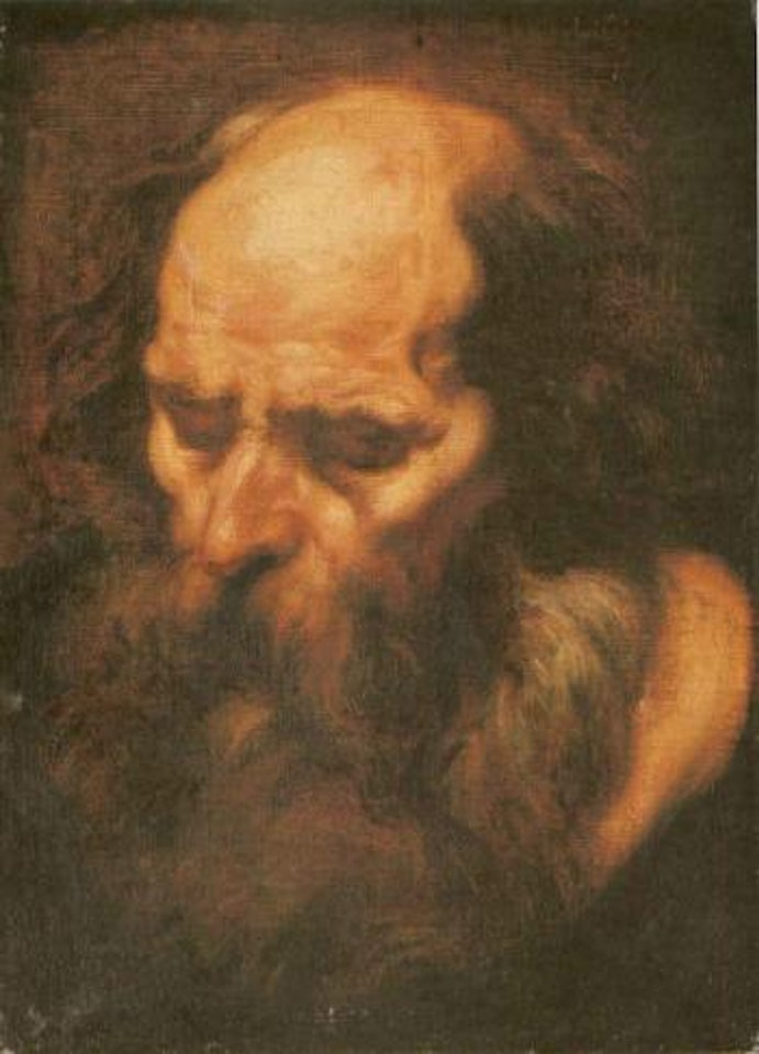 Head of a bearded man by Jacob Jordaens
