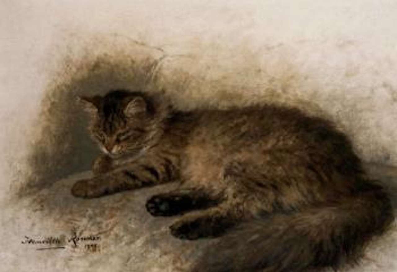 Angora brun by Henriette Ronner-Knip