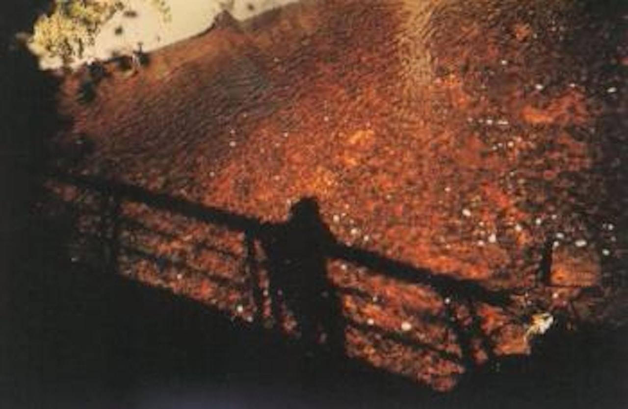 Self portrait on the bridge at Golden river, Silver Hill Hospital by Nan Goldin